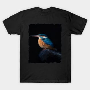 Kingfisher Stars T-Shirt